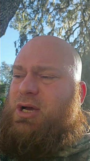 harvesting my organic wood sorrows for my organic salad tonight for dinner Garden to table