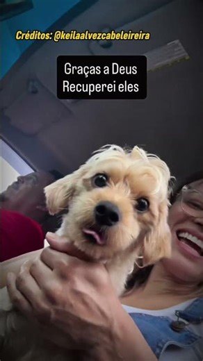 Only those who found them cute will like this 🥹 #family #dog #pets #youtubeshorts #shorts