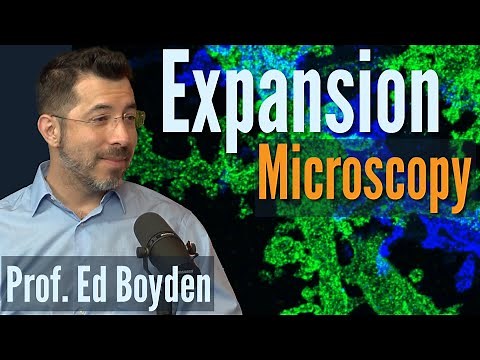 What is Expansion Microscopy? Innovative technology that reveals nature’s hidden secrets