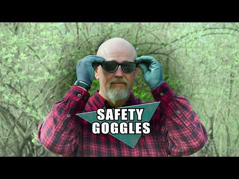 How To Remove Invasive Bush Honeysuckle