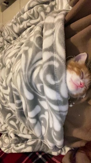 Brit Contreras (@britcontreras)’s videos with Slipping Through My Fingers - Declan McKenna