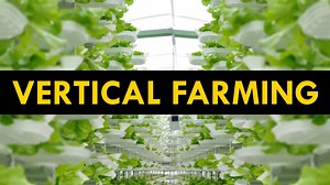 The Growing Trend of Vertical Farming | Britannica