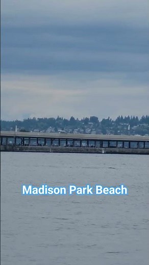Seattle Madison Park Beach#seattle #beach #park #lake #uw
