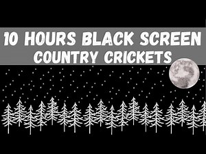 CRICKET NOISE SOUND EFFECT 10 HOURS // Crickets Chirping Sleep // Crickets Chirping Sleep Sounds