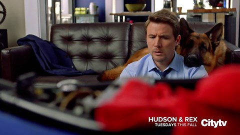 Hudson & Rex (TV Series 2019– ) ⭐ 7.4 | Crime, Drama, Mystery