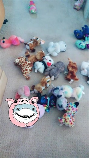 All of our beanie boos and there names!! We are new and we support LGBTQ So dont bully please! #werenewhere