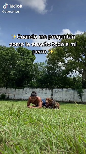 Garra Patada: Cómo Enseñar a tu Perro a Acechar