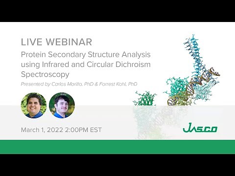 Basics of Protein Secondary Structure Analysis using FTIR and Circular Dichroism Spectroscopy