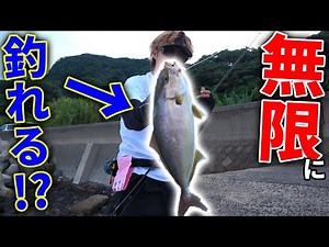 青物が無限に釣れる堤防を見つけてしまった・・・