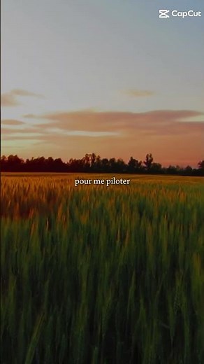 elle m'dit il faut un permis pour me piloter