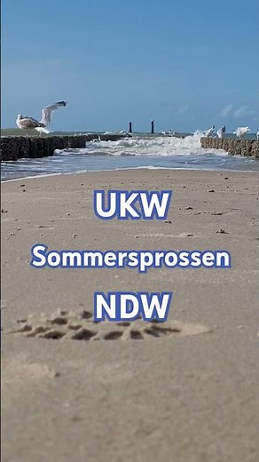 80er Hits UKW - Sommersprossen, NDW Neue deutsche Welle 1982 #music #80s #ndw
