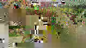 4 Winter Arrangement Ideas 🌲❄️ | Garden Answer