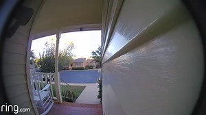 When Jason returned home to an empty porch, he quickly found the culprit thanks to this footage caught on his Ring Doorbell. By sharing the video with the police and his local neighborhood, Jason was able to identify the porch pirate, help police make an arrest, and recover the stolen packages. An involved community is a safe community. Protect yourself from package theft, and join your Ring Neighborhood on the free Ring app at ring.com/neighborhoods #AlwaysHome | Ring
