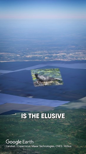 Discovering the Wonders of Lake Baikal