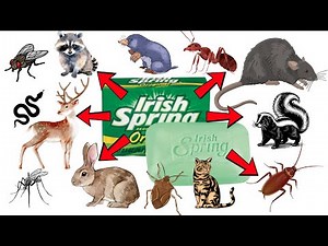 Get Rid of Pests FAST with These Irish Spring Soap Hacks