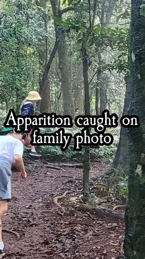 3M views · 25K reactions | The day after our hike, I was looking through the photos with my kids, when my daughter asked "who's that?". I couldn't see anything in the area of the photograph she was pointing at, so zoomed in and my blood ran cold. Credit: Timber2077 (Reddit) #paranormal #ghoststories #ghoststory #scarystories #scarystory | The Scarecast | Facebook