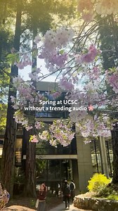 You belong among the wildflowers 🌸 Happy #Spring from @ucsc | University of California