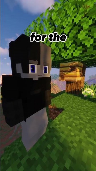 GENDER change mod #imanaliencat #fyp #viral #bedwars #minecraft #gender #hypixel #java #minecraftmod