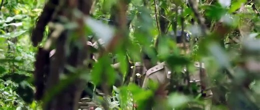 EP.18 Insect Detective 2 (2024) ENGSUB