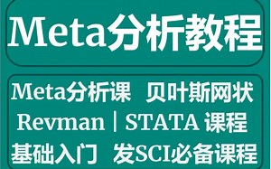 meta分析从入门到精通 meta分析数据提取技巧 meta分析零基础教程