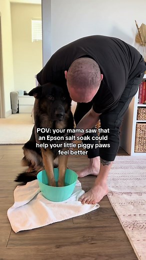 German Shepherd Paw Itch Relief: Epsom Salt Soak