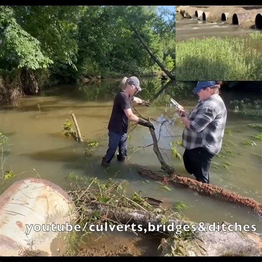 Opening of a drain that is badly blocked by beavers part 1 | Clearing blockages