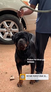 80K views · 3.3K reactions | Hello Fam, It’s a great weekend here....