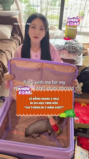 Lê Bống Exceeds Expectations with 3 Large Suitcases for Study Abroad