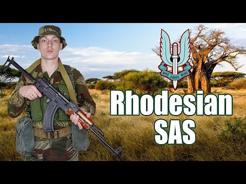 RhSAS Uniforms & Equipment |Rhodesian Bush War Brushstroke Camouflage | P61/64, P69...