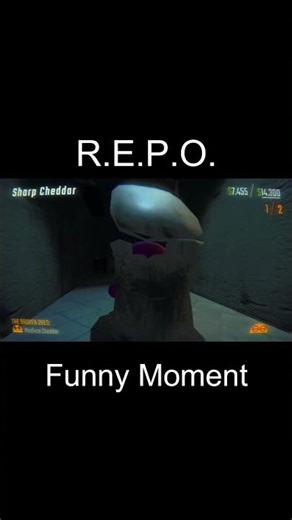 R.E.P.O. is the funniest game. #funnymoment #hilarious #repo