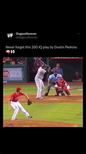 Dugout Forever on Instagram: "Caught 'em sleeping 😴💤"