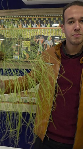 Last year's visit to Cairo and papyrus making is a must see tour! Creating wonderful memories 🌏💕🌏 #egypt #egyptologist #papyrus #habibicometoegypt #fyp