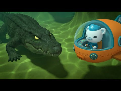 ⚓ Amazon Jungle Rescue! 🐊 The Octonauts and the Giant Black Caiman! | Full Episode