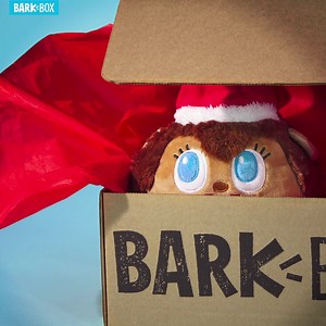 👋🏾 Meet our newest toy, Hedge On A Ledge. He’s a squeak-filled mischievous hedgehog that’s also keeping an eye on your pup’s behavior this season. 👀 Then again, naughty or nice, your dog deserves BarkBox. Join now and get this exclusive toy for FREE with your first box of goodies. 🎁 | BarkBox
