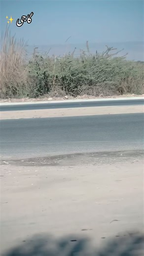 ❤️✨@abdulrehmangaji @ملک تنویر نمبردار #for #jbd #Wink❤️