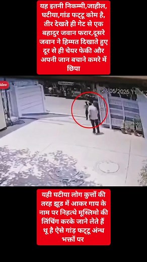 11K views · 19 reactions | Ali Hameed on Reels | Facebook