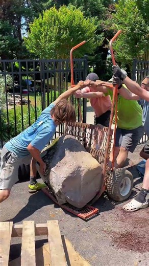 Building a New Pond in Annapolis! 🔥🐠