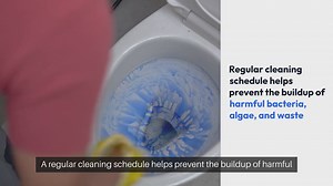 Turtle Tank Cleaning Schedule