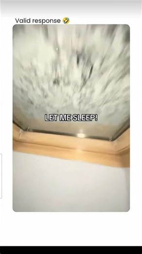 let me sleep #sleep #swearing #accurate