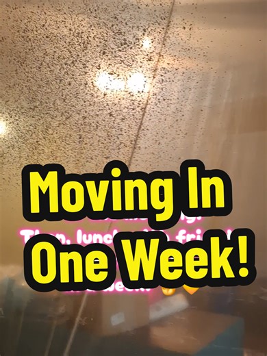 I wish I could have a painting party but all my friends are stuffed animals! 🧸💛 #pikachunsarah #moving