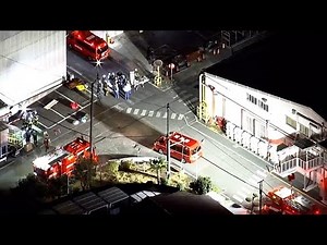 More than a dozen people injured in a knife and chemical attack at a factory in Japan
