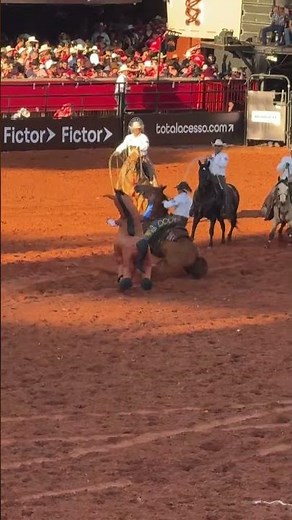 Rodeo chaos as horse startled by costumed rider in São Paulo, Brazil