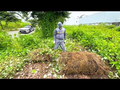 48-Hour Challenge: Cleaning the Filthiest Footpath in the City — Solo, with an Unexpected Ending