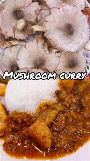 DELICIOUS Paddy Straw Mushroom Recipe #paddystrawmushroom