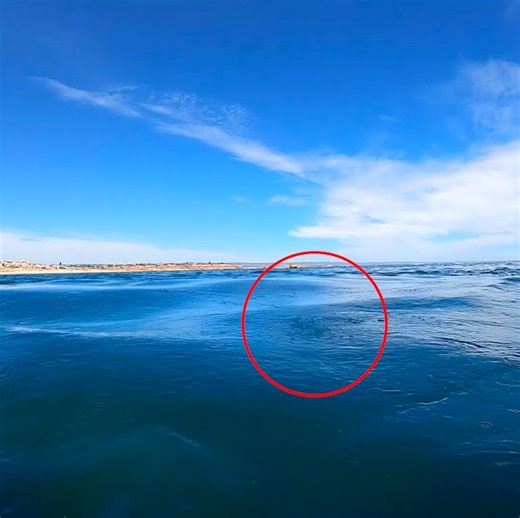 146K views · 1.1K reactions | THIS JUST HAPPENED IN AUSTRALIA...  | The Royal Stampede | Facebook