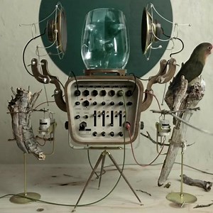 4.8K views · 166 reactions | Real or fake? | Piano Around the World | Facebook