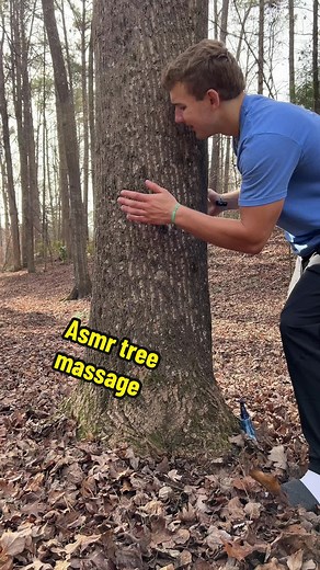 ASMR Tree Massage Experience for Relaxation