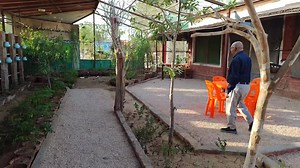 1.5M views · 35K reactions | diamond dove and java sparrow free flying #ahsanzafarofficial #ahsanpets #countrysidechalet #birdscafe #azimadilsheikh | Ahsan Zafar Official | Facebook