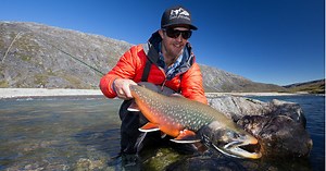 Ultra prolific fly-fishing for Sea Run Char in Greenland