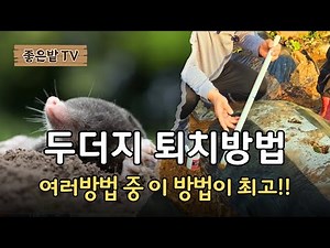 [25-61] How to get rid of moles, this method is the absolute best!!!